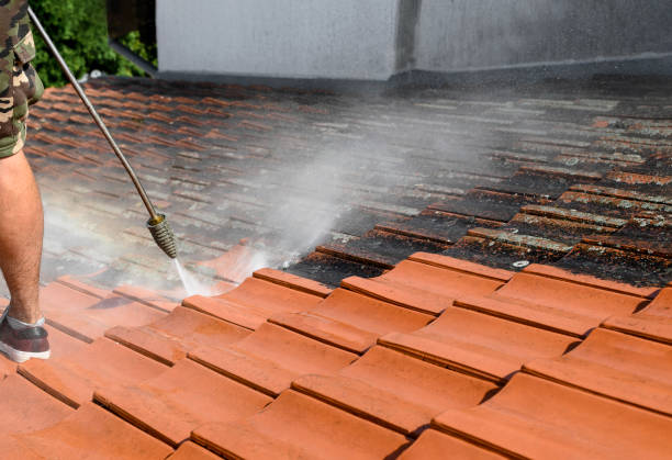 Best Fence Pressure Washing  in North Yelm, WA